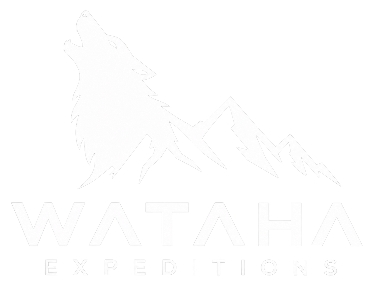 logotransparant